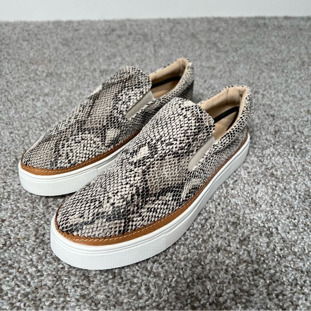 New with box | Ccocci Dream shoe